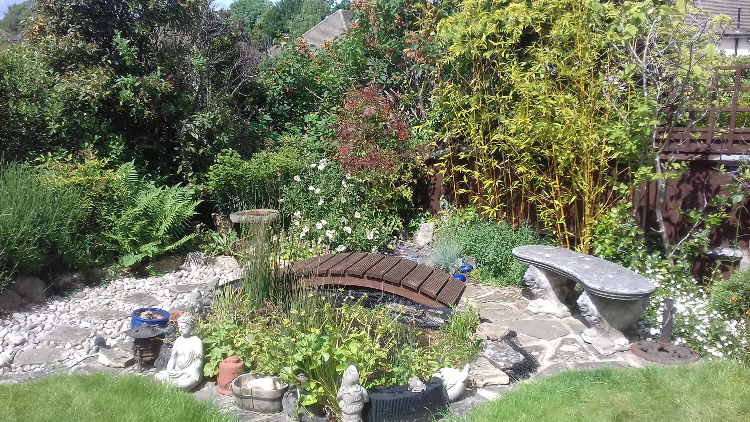 Award winning garden designer in Dorking - Steve Dimmock